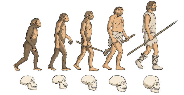 evolution of mans